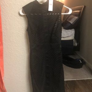 FashionNova Dress
